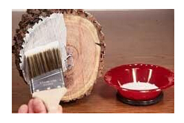 木材干燥時(shí)出現的表裂和端裂